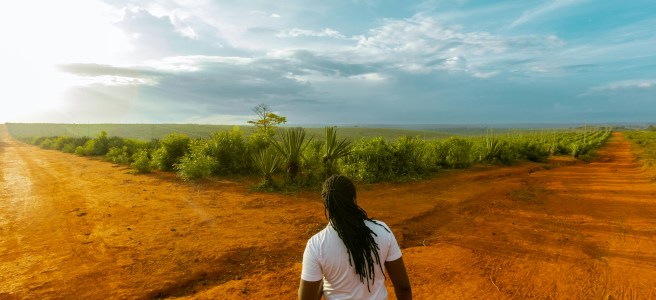 Man standing at crossroads on red dirt path symbolizing choice and growth